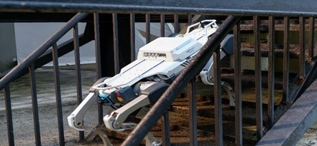 四足机器人2 四足机器人2